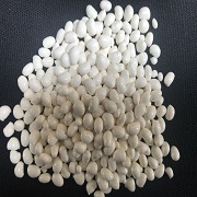  Keo hạt  nóng chảy Hotmelt dùng cho sách 766